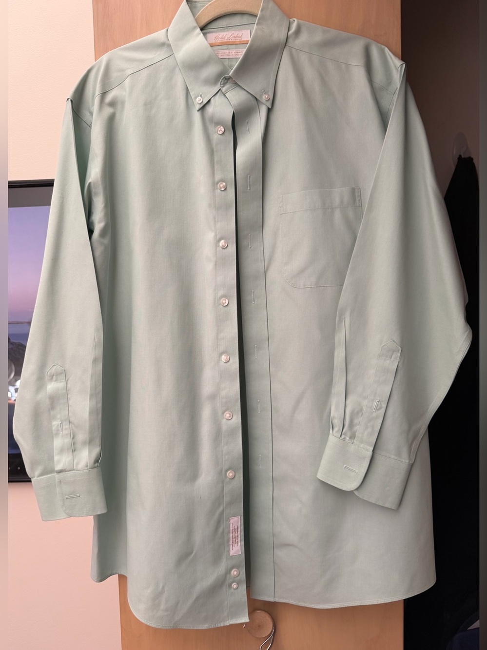 Roundtree & Yorke Gold Label mint green shirt Sz M. Perfect condition